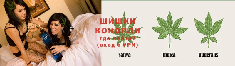 Бошки марихуана SATIVA & INDICA  закладки  Звенигород 